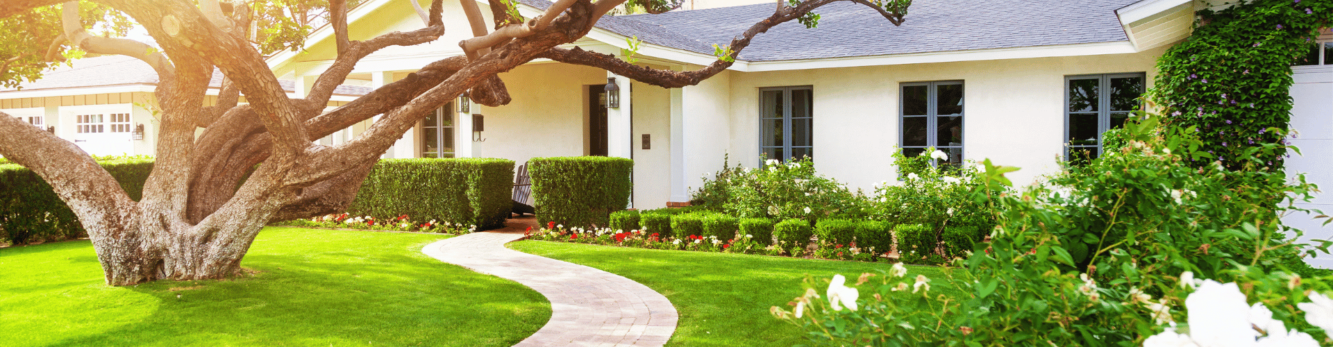 A tree in front of a house.