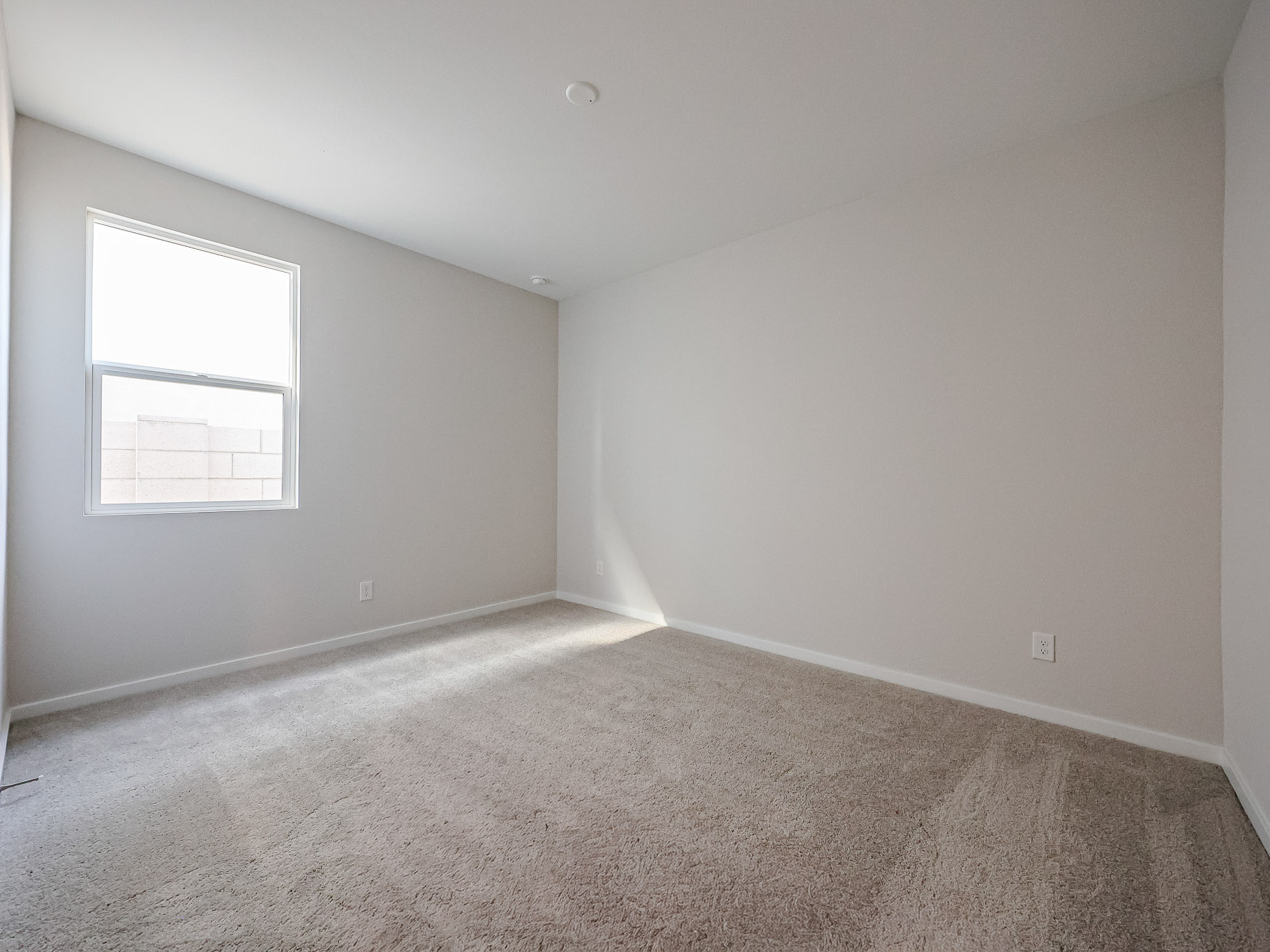 A room with a carpet and a window.