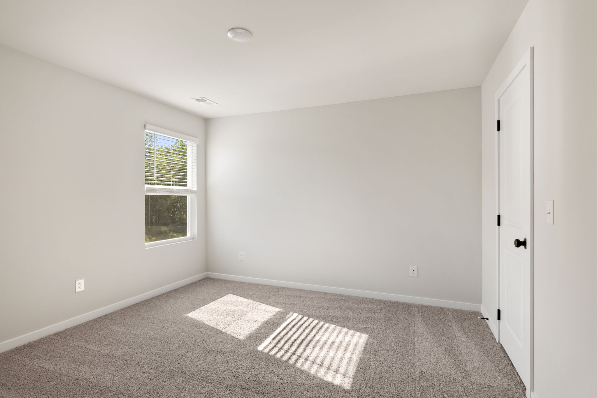 A room with a rug and a window.