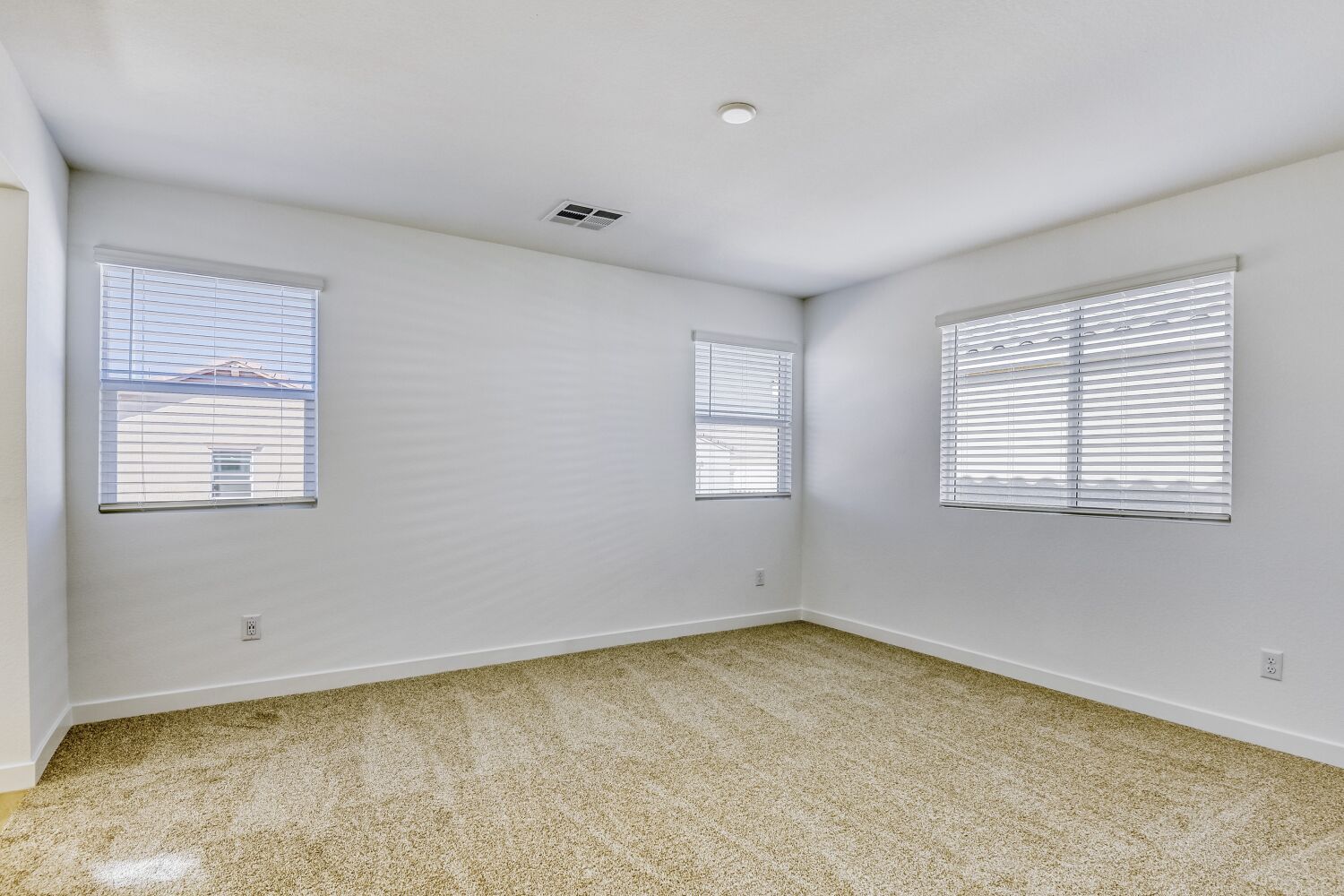 A room with a carpet and a rug.