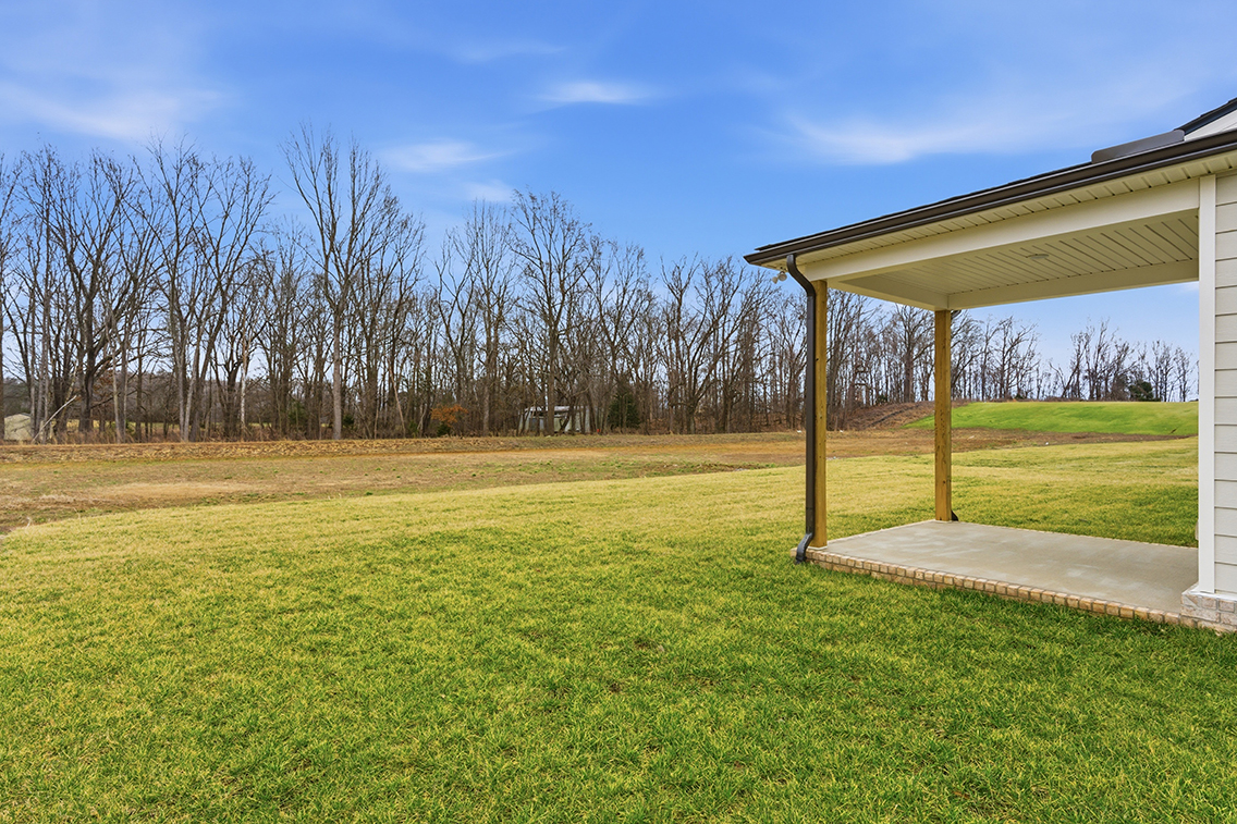A grassy area with trees in the background.