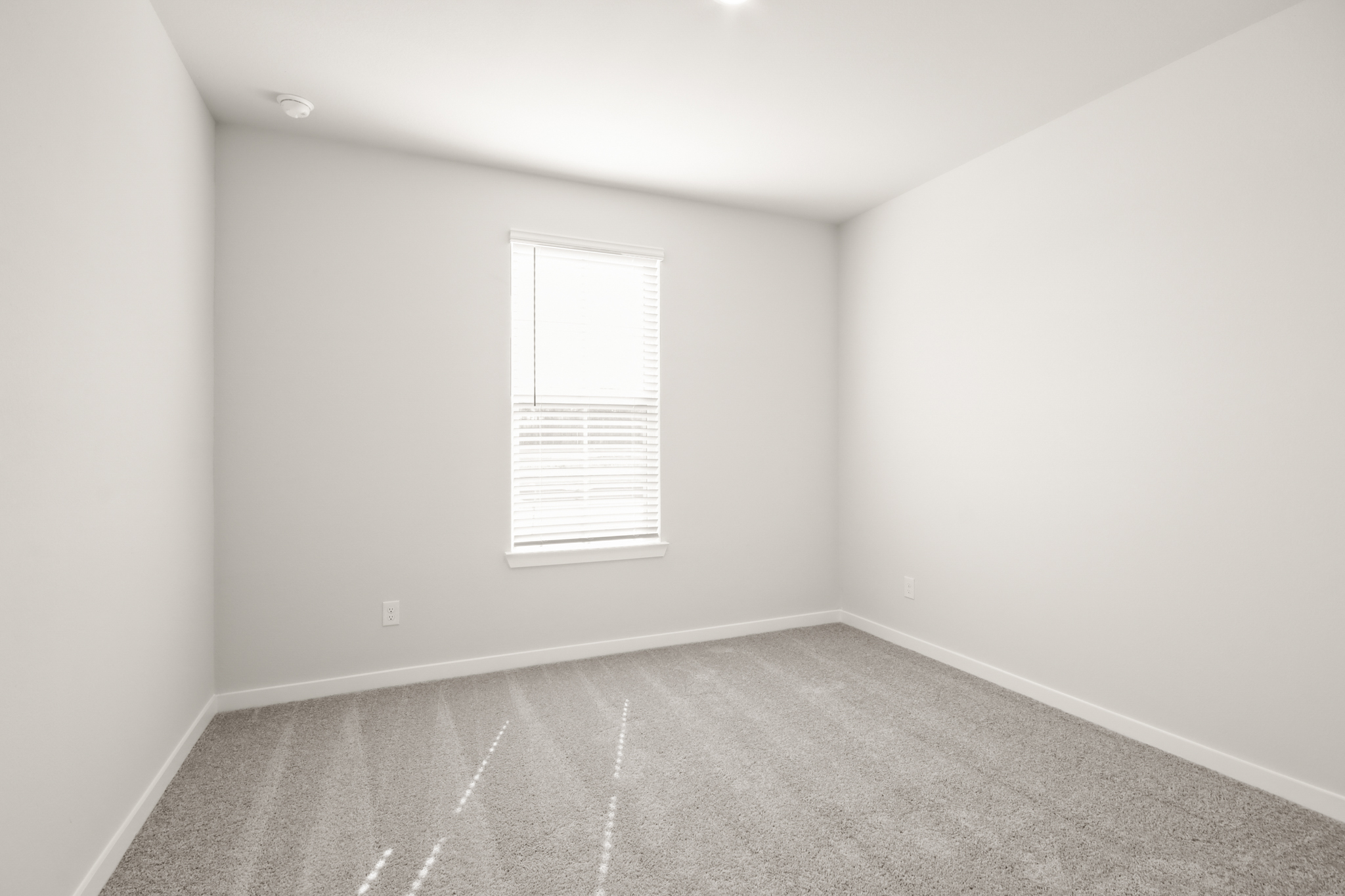 A room with a carpet and a window.