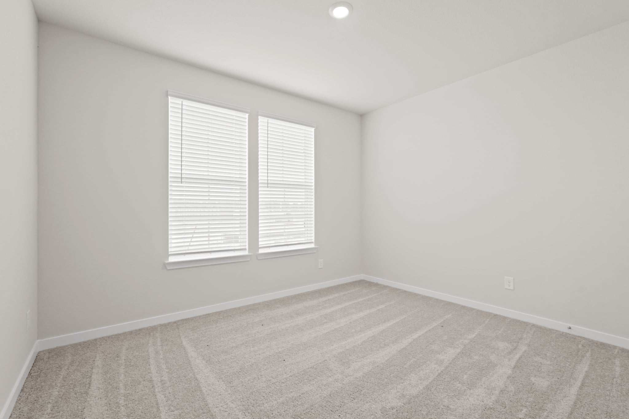 A room with a rug and windows.