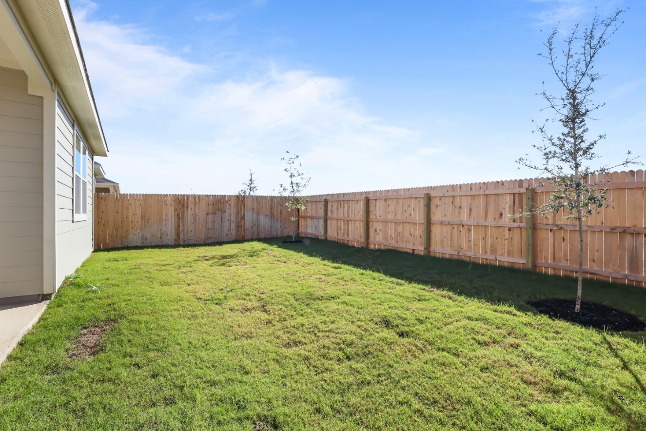 A fenced in yard with a tree and a house.