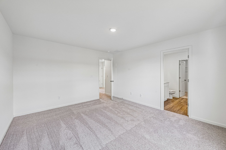 A room with a carpet and a rug.